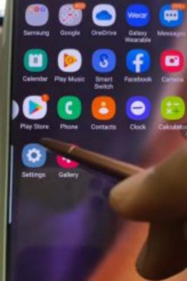 IMG_20210815_153950-164x300 (1)