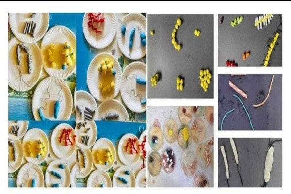 4 penyelidik bangunkan Modul STEM Covid-19, bantu guru laksana PDP di sekolah