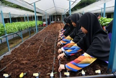 Pelajar menanam sayur di kawasan Sekolah Menengah Raja Dr Nazrin Shah.