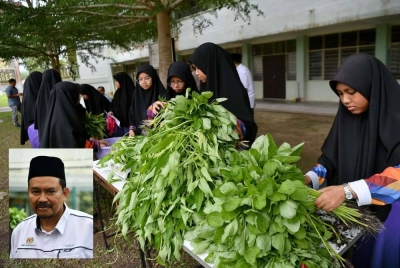 Pelajar sedang membungkus sayur setelah dipetik untuk dijual kepada pelanggan di kawasan sekolah tersebut. Gambar kecil: Ahmad Tazally.
