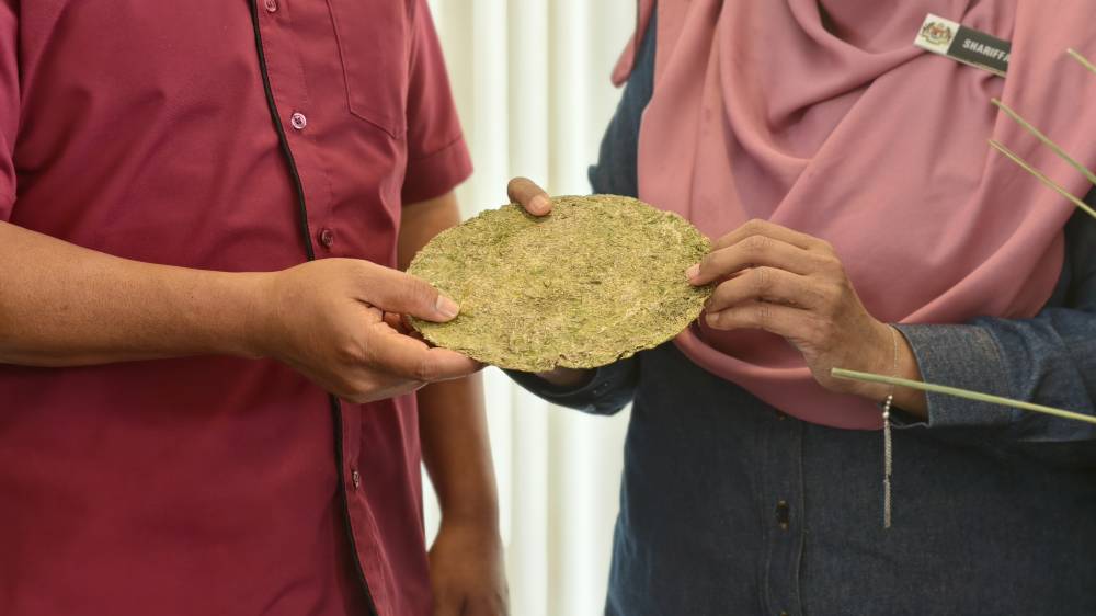 Pinggan yang dihasilkan daripada daun serai. 