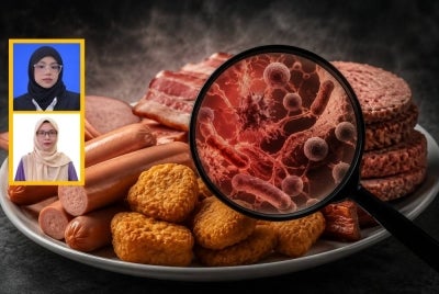 Walaupun namanya kedengaran asing, hakikatnya nitrosamines boleh terbentuk dalam pelbagai jenis makanan yang sering kita makan setiap hari. Lebih membimbangkan, beberapa jenis nitrosamines telah dikaitkan dengan peningkatan risiko kanser apabila seseorang terdedah dalam jangka masa panjang. Gambar kecil: Nurin Nabilah (atas) dan Norliawati (bawah)