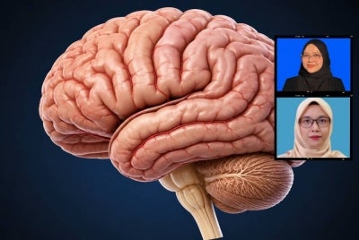 Semua aktiviti yang kita lakukan setiap hari ada hubung kait dengan neurotransmiter. Ini dapat dibuktikan kerana, setiap apa sahaja keputusan yang kita buat dan ambil dalam seharian adalah disebabkan oleh kita berfikir secara baik menggunakan otak dan akal fikiran yang sihat. Gambar kecil: Nur Haziqah Syahmi (atas) dan Norliawati (bawah) 