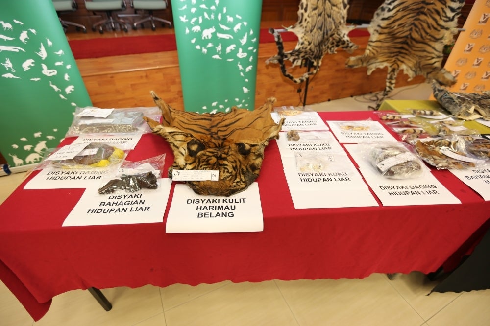 Among the items seized by Perhilitan.