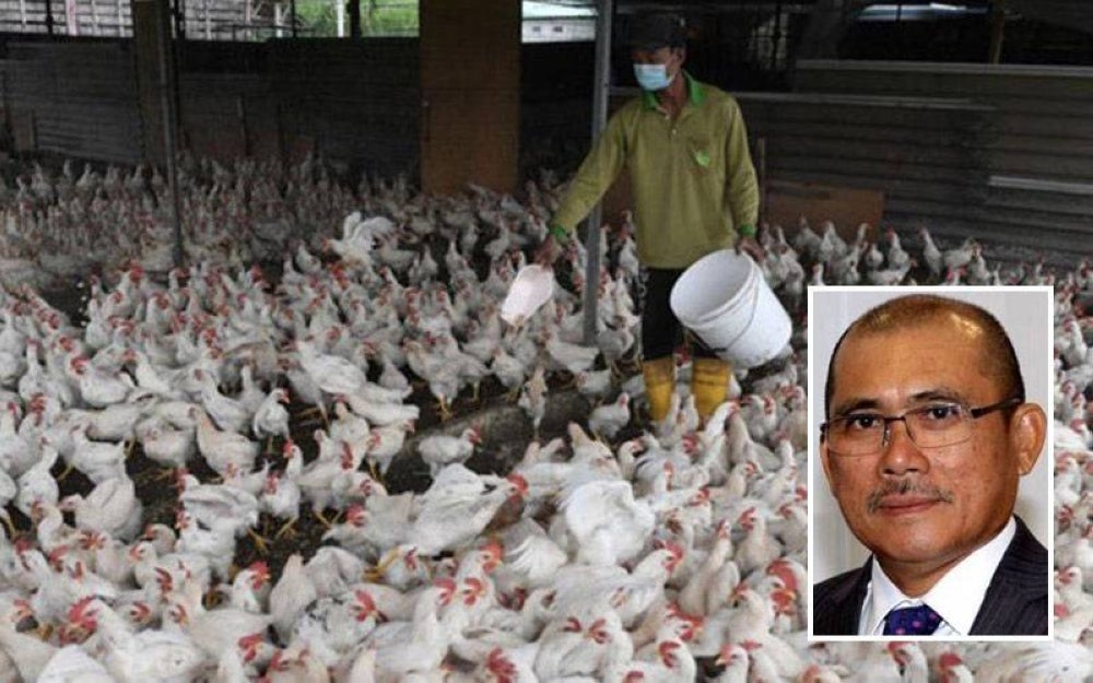 The subsidy period is from Feb 5 until June 4, which is during the Keluarga Malaysia Maximum Price Control Scheme period. (Insert: Ronald)