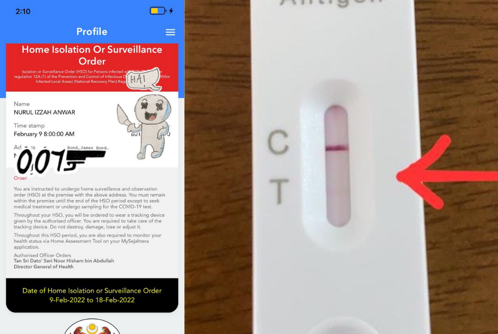 Nurul Izzah shared her MySejahtera page and a Covid-19 home self-test kit that faintly shows a second line indicating a positive result. (Source: Nurul Izzah's Twitter) 