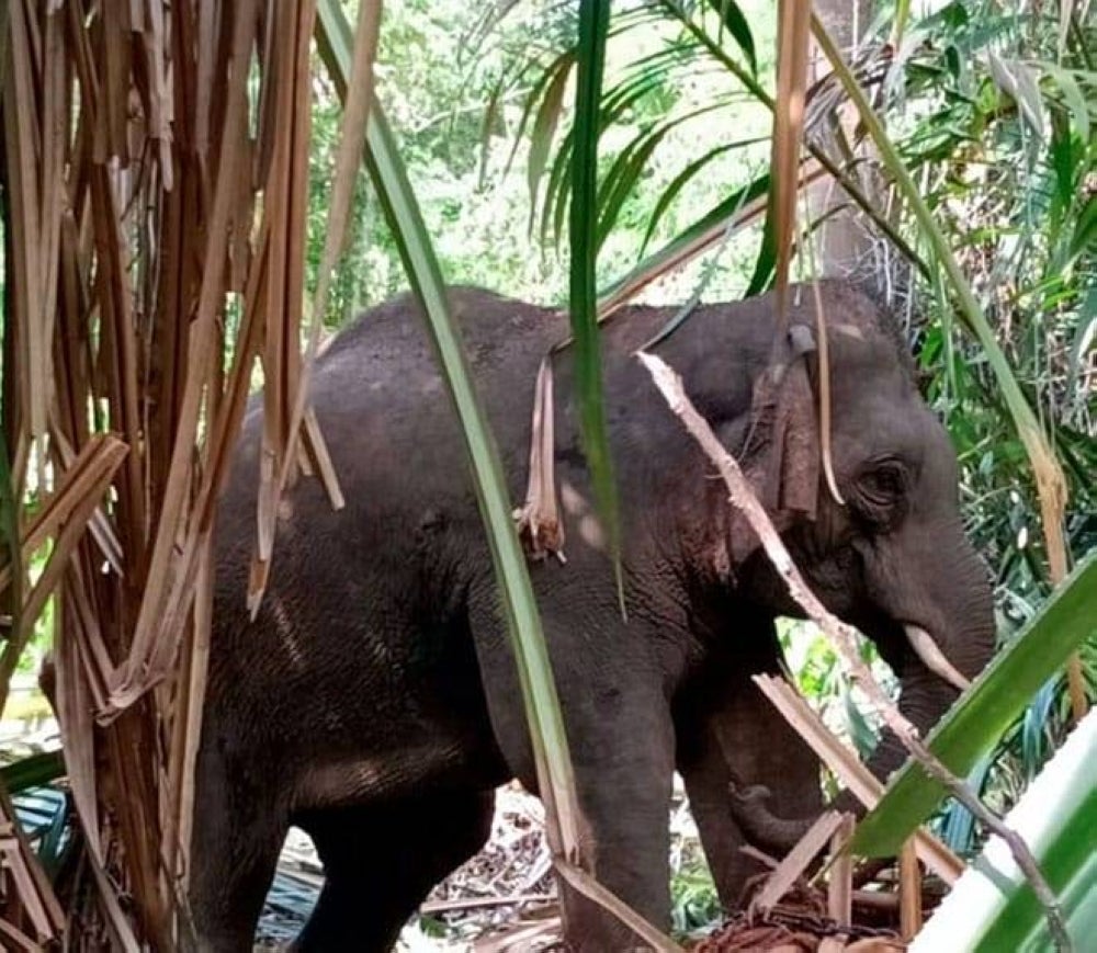 Photo for illustration purpose only - BERNAMA