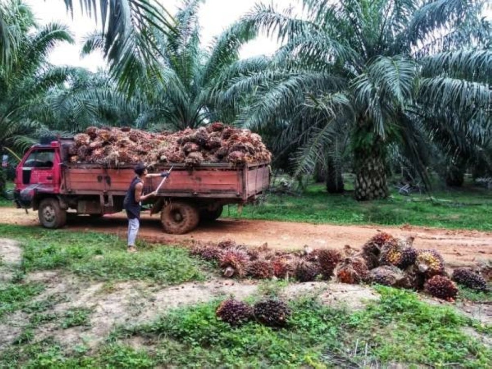 MEF says there are unable to meet new orders due to shortage of workers 