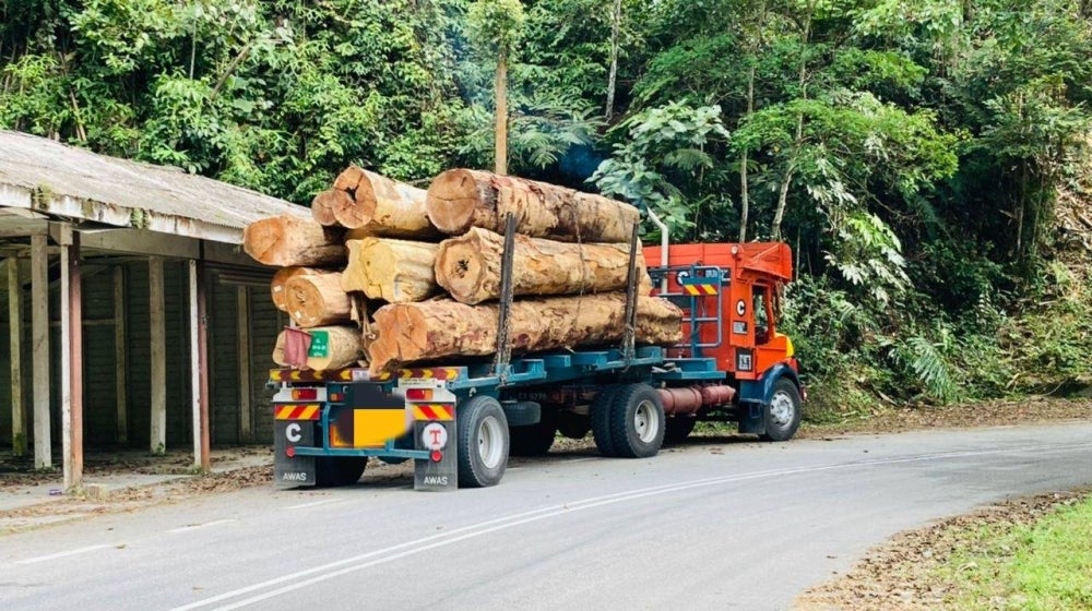 Forestry Department seizing timber from illegal loggers during an operation in Kuala Kubu Bharu headed to Fraser's Hill on Jan 20. (Photo by ROSLI TALIB)