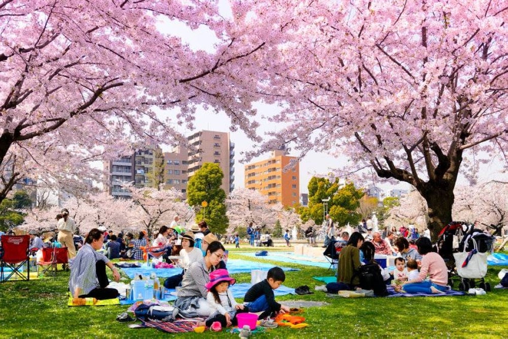 Visitors in Kinshi Park, Tokyo. Japan is considering raising the daily cap on overseas arrivals to 10,000 from the current 7,000 starting in April, further easing its COVID-19 border controls. - 123RF Photo