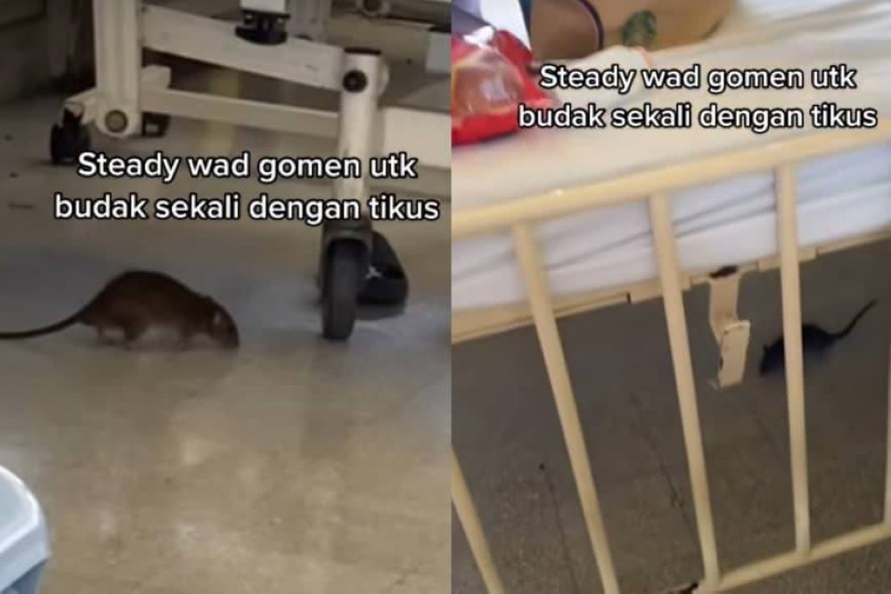 Screengrab from viral video on TikTok