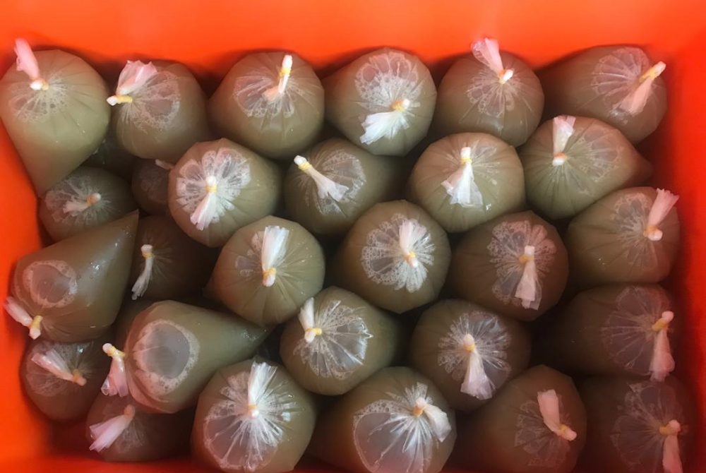 The green liquid believed to be ketum juice that was seized by the Bentong police during the raid. - Picture courtesy of Bentong Police