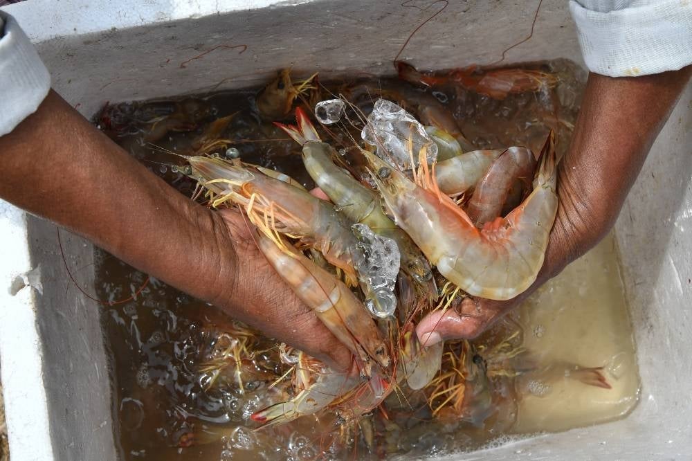 Photo for illustration purpose only - BERNAMA