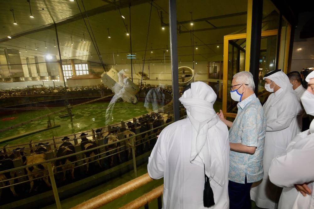 Prime Minister Datuk Seri Ismail Sabri Yaakob observing the processing of cow's milk during a visit to Baladna Farm in Al Khor, 50 kilometers from Doha City on March 28, 2022. - BERNAMA