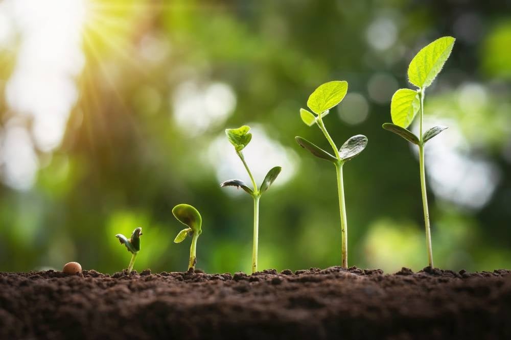 Photo for illustration purpose only - Source: 123rf