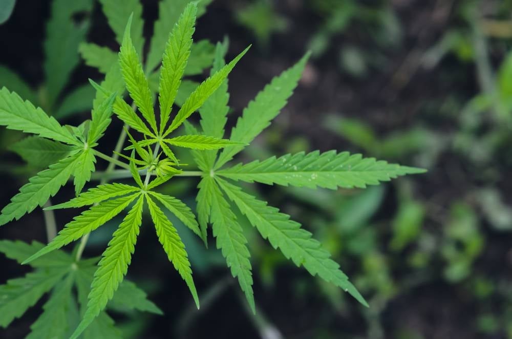 Illustration photo. Source - 123rf