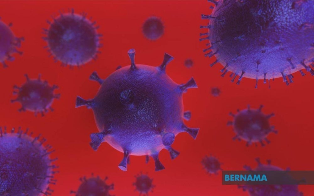 The 3 new deaths brings the total to 35,660 deaths so far due to Covid.