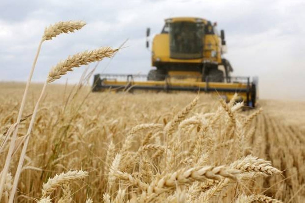 Ukraine was a major exporter of wheat, corn and sunflower oil, but shipments have been blocked since Russia invaded its neighbour in late February, causing food prices to soar worldwide. - AFP pic
