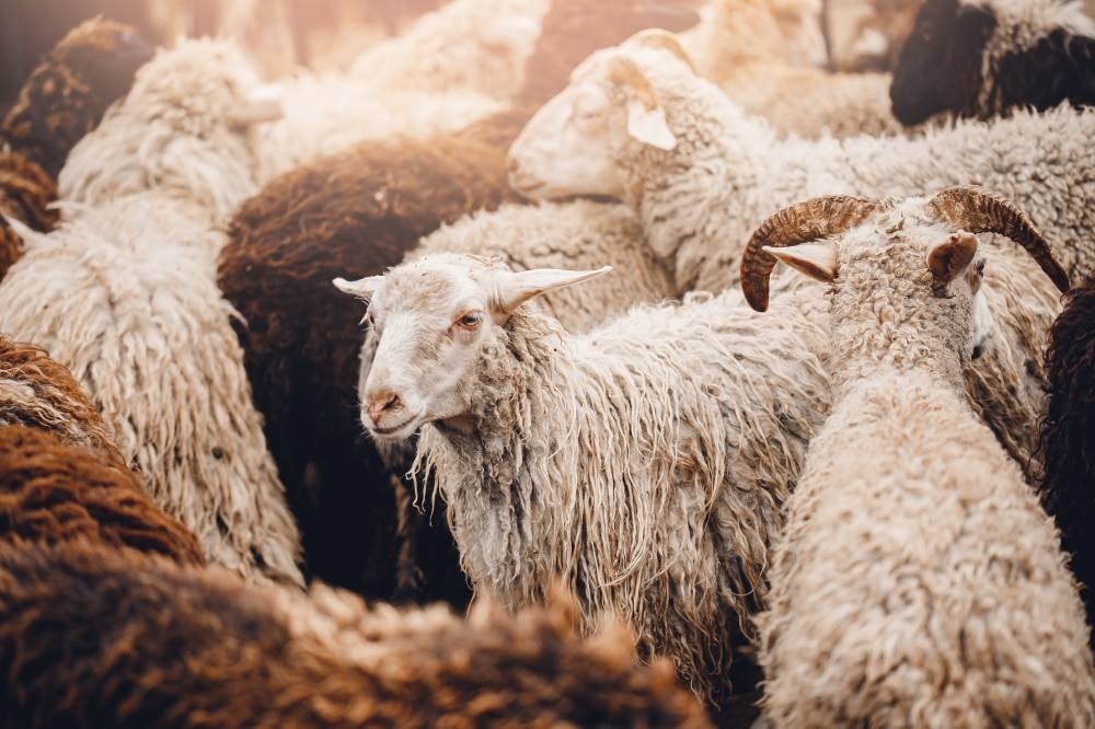 Photo for illustration purpose only - Source: 123rf