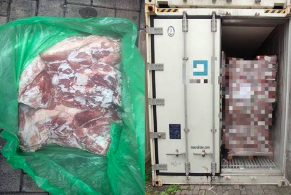 A container containing 25,000 kilogrammes of frozen pork was seized during a routine inspection carried out by Maqist at the Northport, Klang on Sunday. - Photo: SINAR HARIAN
