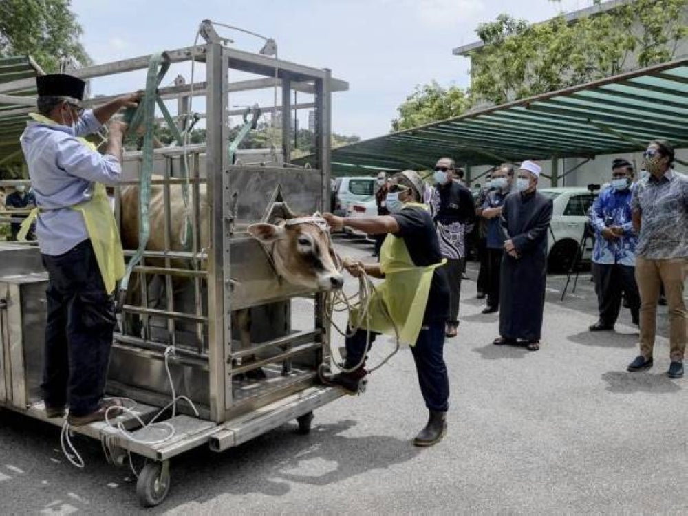 Fomca deputy secretary-general Nur Asyikin Aminuddin says consumers should check whether the organisers offering such packages are registered with SSM or check with semakmule.rmp.gov.my before making online payment.