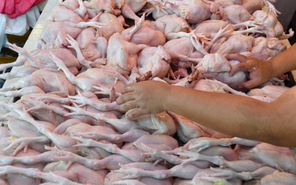 First stockpile of 21 metric tonnes round chickens set to arrive today. Photo: BERNAMA