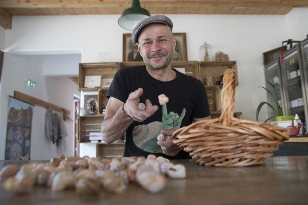Snail breeder Andreas Gugumuck sorts snails in a basket at his "Wiener Schnecken" snail farm in Vienna. (Photo by Alex HALADA / AFP) 