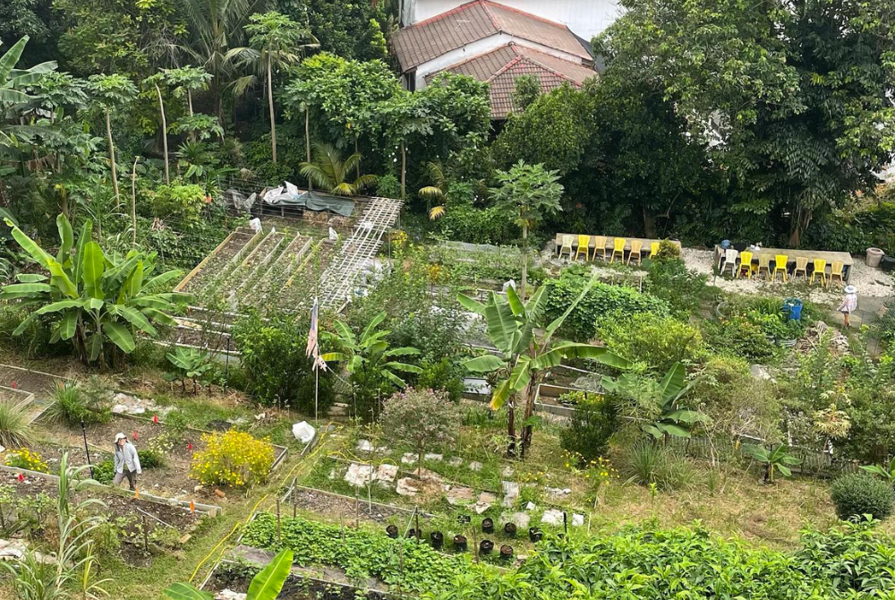 Kebun-Kebun Bangsar. Photo from their Facebook.