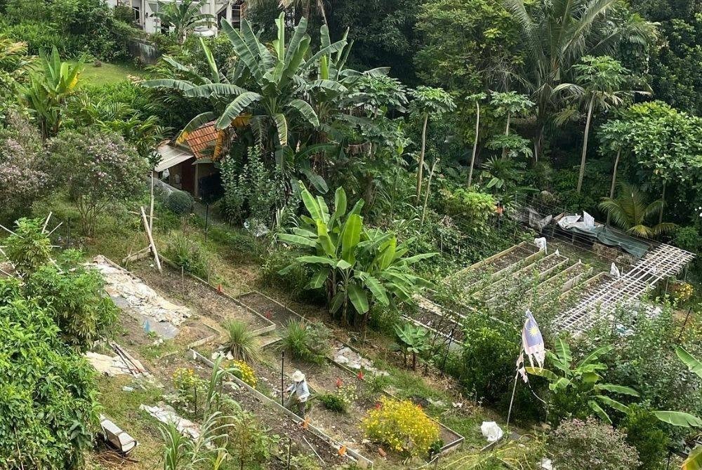 View of Kebun-kebun Bangsar from a neighbour's house. photo from Kebun-kebun Bangsar Facebook page