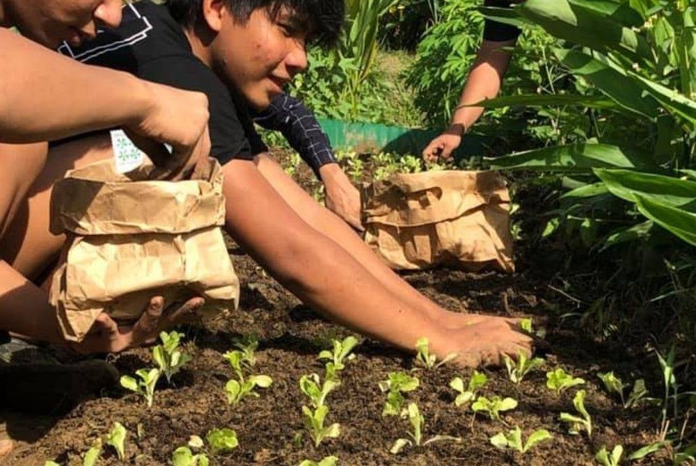 Photo by Kebun-kebun Bangsar Facebook page