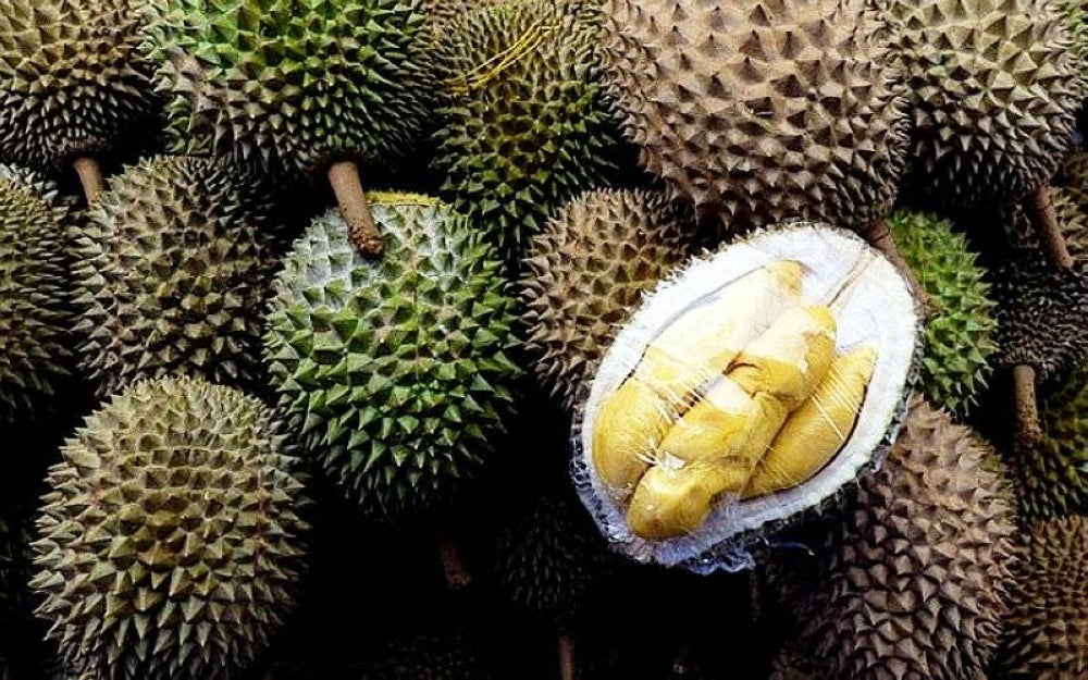 Sanusi said the project was originally approved by the previous government and the state government was now focused on finding comprehensive solutions without pointing fingers. Illustration photo: BERNAMA FILE PIX