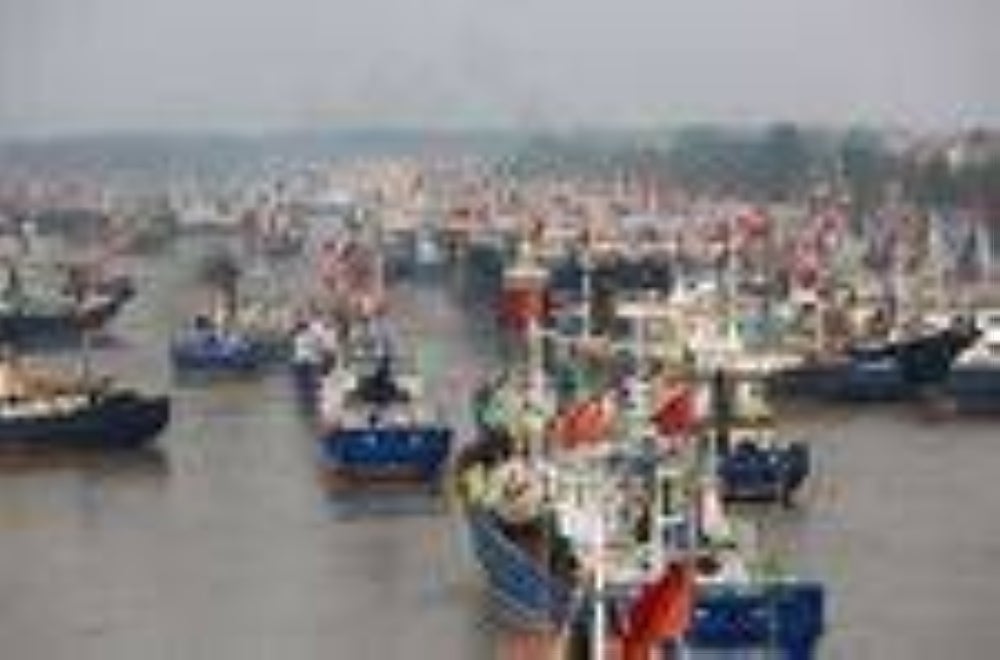 China's fishing fleets are still plundering waters around the world. STR/AFP/Getty pic