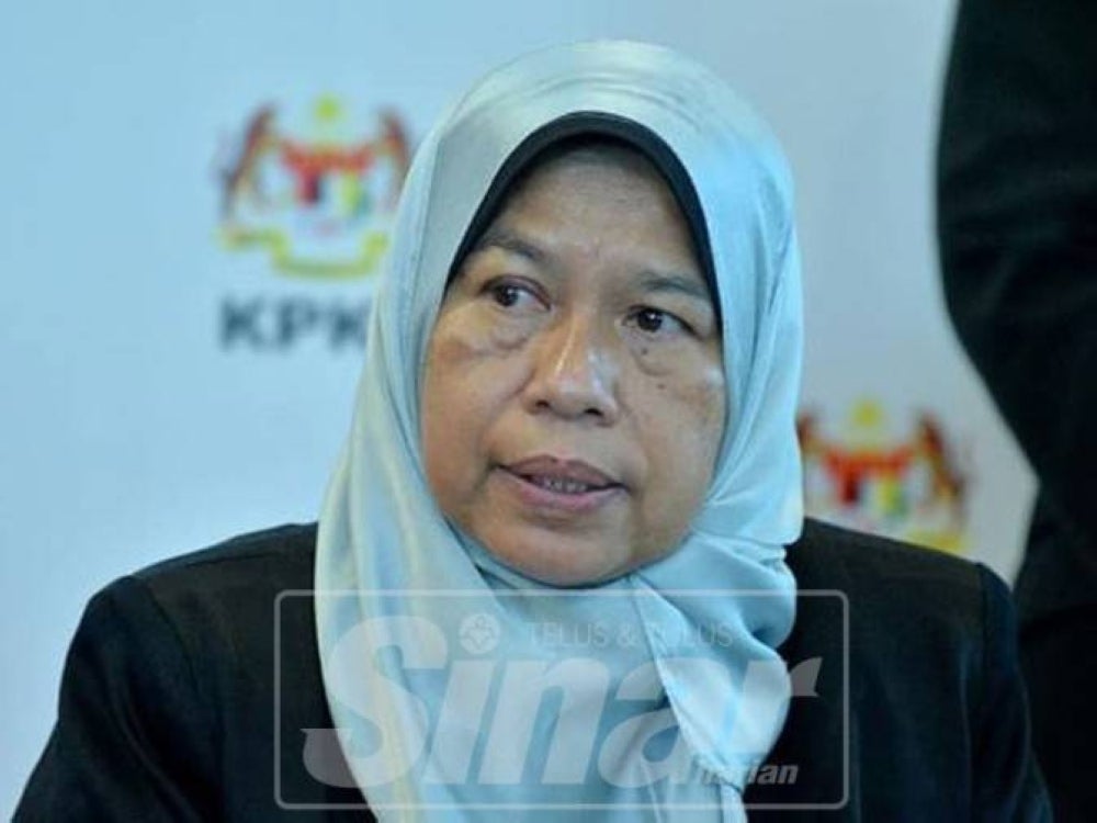 Minister of Plantation Industries and Commodities Datuk Zuraida Kamaruddin says Pakistan, India and Afghanistan could provide labour options. 