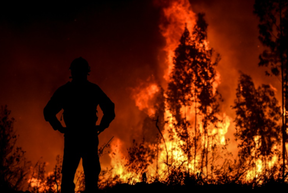 Portugal and France battle big forest fires