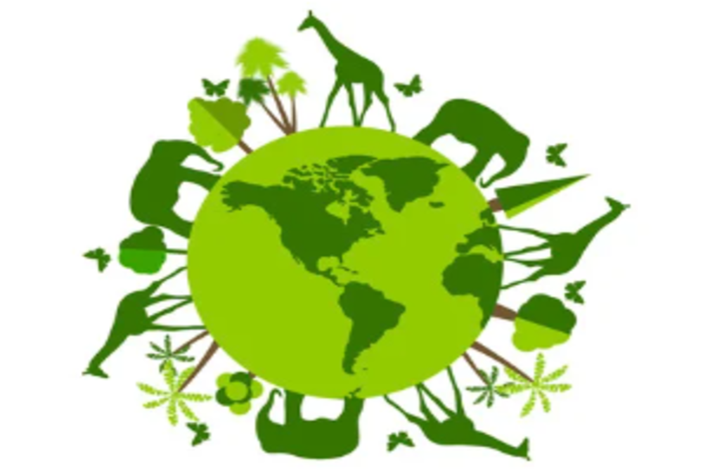 MPIC to step up conservation efforts - 123RF Photos