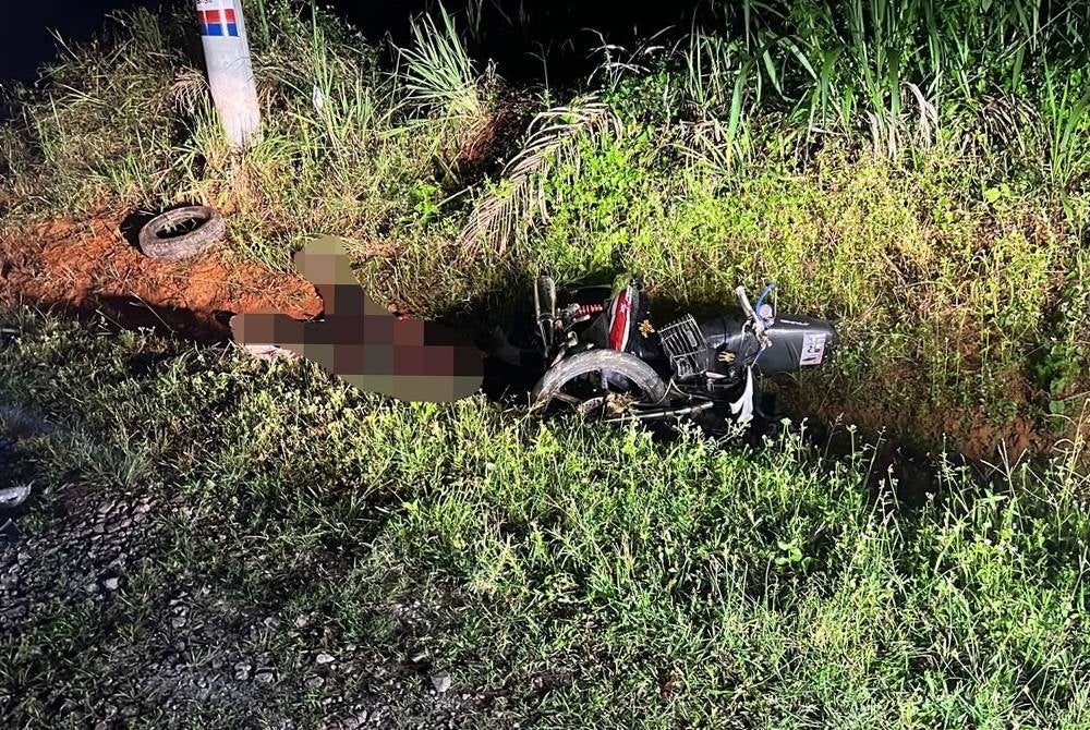 The victim was seriously injured after hitting an elephant on Jalan Kota Tinggi-Kluang near Taman Seri Impian, Kluang on Thursday night.