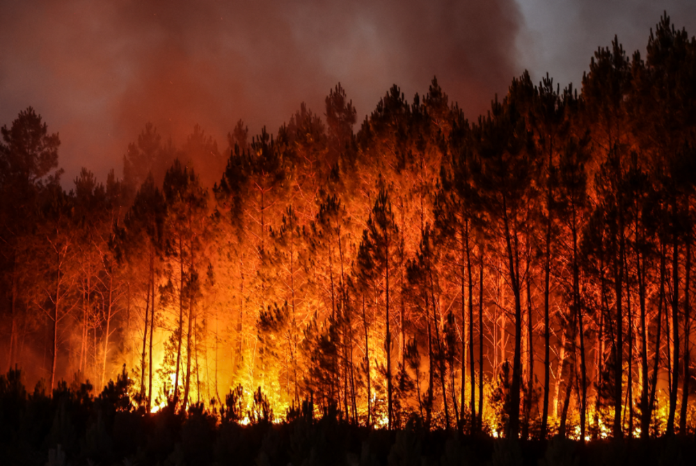 Wildfire in northwestern France burns over 300 hectares of land forcing certain cities to evacuate. - AFP Photo