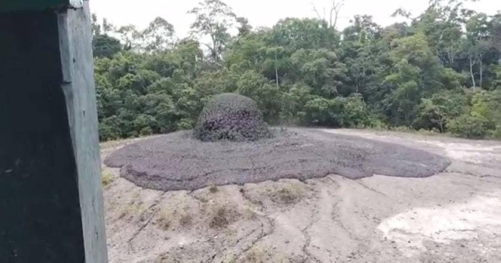 The mud volcano "eruption" phenomenon near the Tabin Wildlife Park in Lahad Datu, on Sunday.