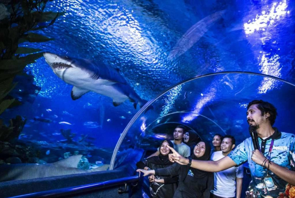 Aquaria KLCC. Pic from KLCC website