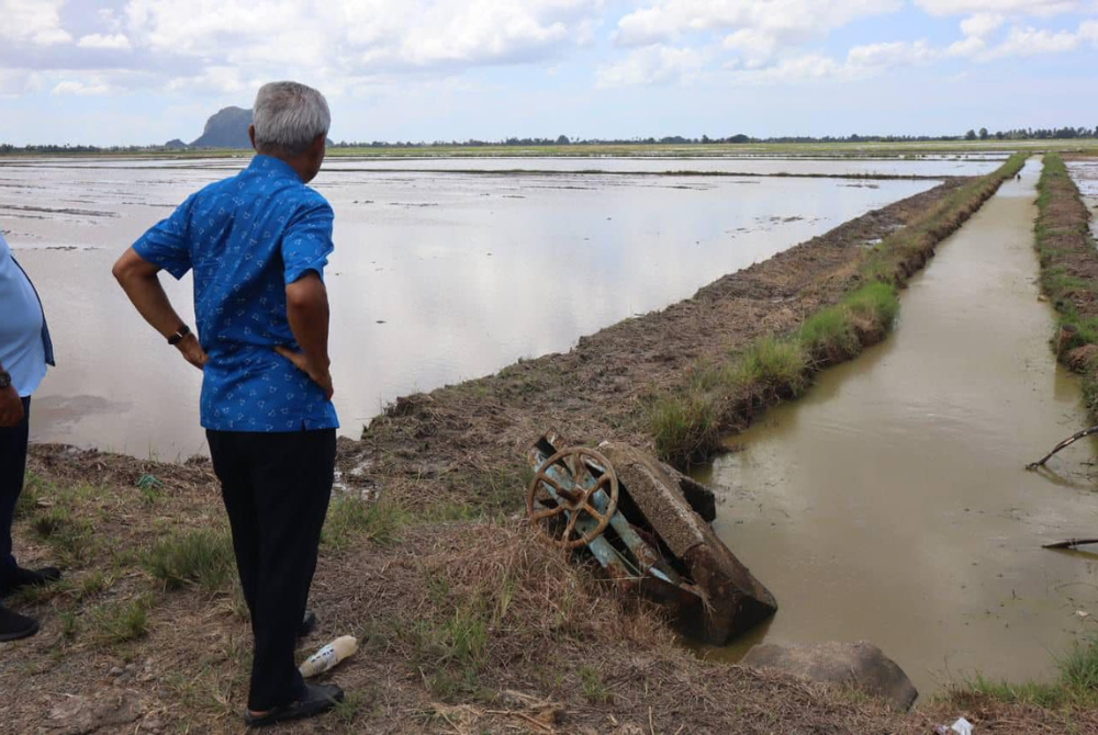 “The high tide from the monsoon slows down the current of the rivers which wells-up the padi fields thus preventing padi farming," said Othman.