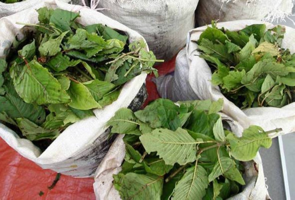 Photo for illustration purposes only. 