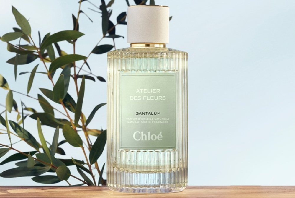 Santalum by Marypierre Julien