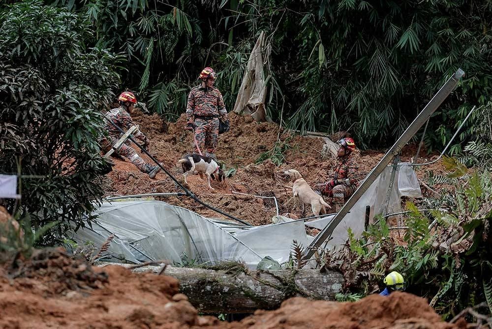 The landslide tragedy near an Organic Farm camping site, Jalan Genting - Batang Kali - Pix: Bernama