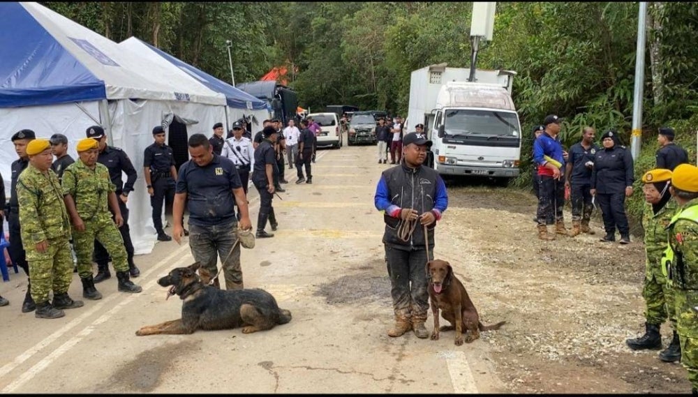 Eight dogs of the Tracker Dog Unit (K9) rested for a while due to fatigue after being involved in the operation to search for the remaining landslide victims at Father's Organic Farm, Jalan Genting, here on Monday.