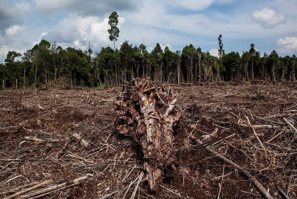 More extreme weather expected as the world witnesses global warming