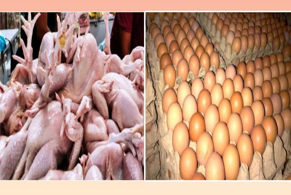 Photo for illustrative purposes.