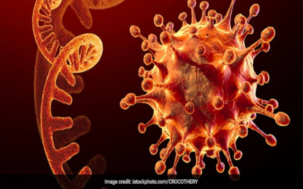 The sewerage samples taken from June to Dec 31 at international entry points 