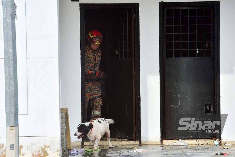 The fire department's K9 unit is among teams involved in the investigation of the fire case at Wisma Jakel, Shah Alam - Photo by Sinar Harian/ Rosli Talib 