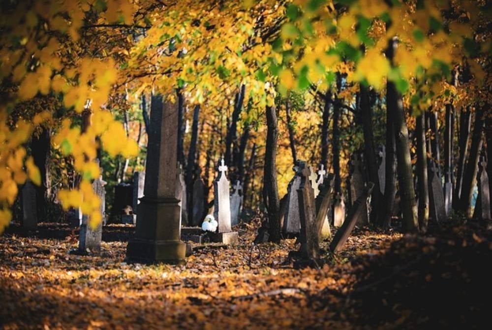 Image for illustrative purposes only - FILE PIX