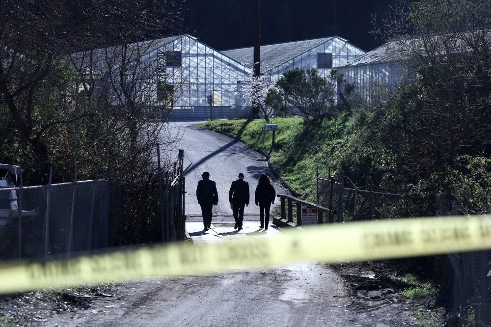 FBI agents arrive at a farm where a mass shooting occurred on Jan 24, 2023 in Half Moon Bay, California. - AFP